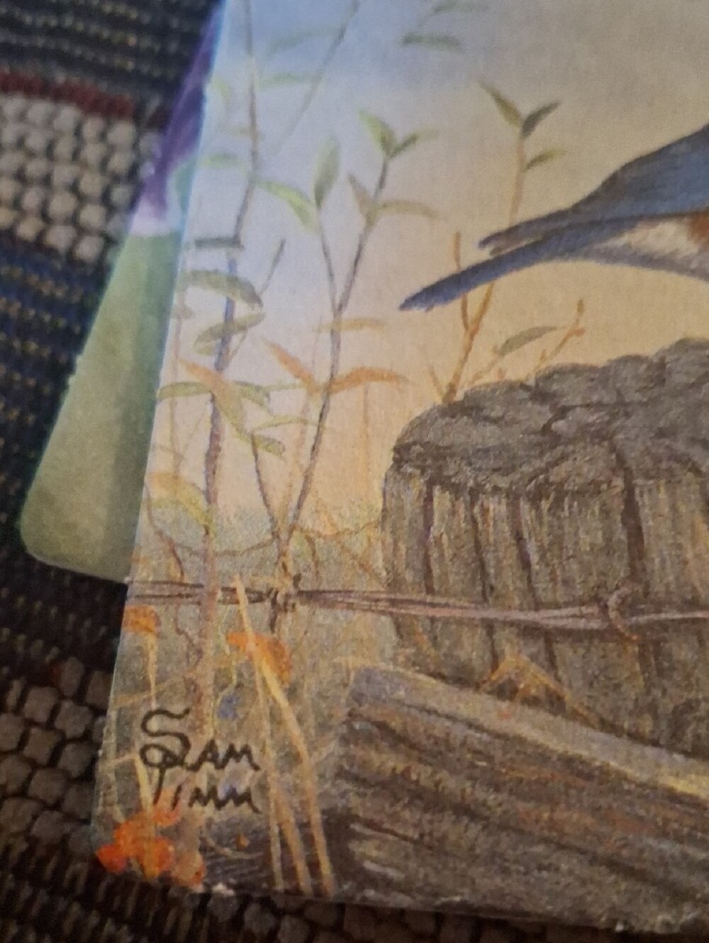 Set of 4 Decorative Bird Coasters with Floral and Fruit Artwork - Picture 3 of 5